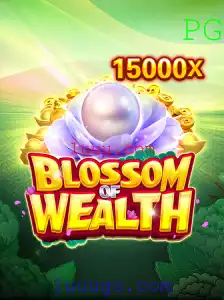 Descubra o Mundo Envolvente de BlossomofWealth